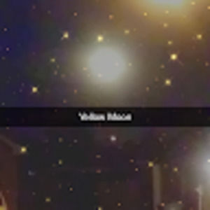 Meet your Posher, Joy